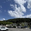 모모 풀빌라 | 가평 애견펜션 강아지랑 아기랑 [모모애견 풀빌라] 애개육아 방문 후기