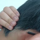 무지개연합의원 이미지