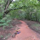 명일근린공원(상일동산) 이미지