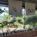 무인cafe마실