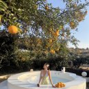 그날저지 | 제주 한경 | 제주 한경 가성비 10만원대 독채 그날저지 감귤나무 자쿠지 감성 숙소