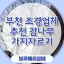 감나무 | 부천 조경업체 추천 감나무 가지자르기 작업 후기