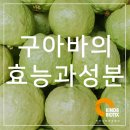 (주)카인즈바이오틱스 이미지