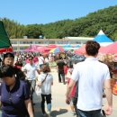 [축제후기] 장기산딸기 문화축제