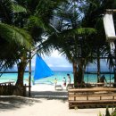 지상낙원 이미지