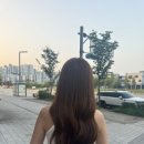 재희;묭실