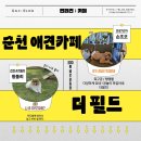 카페THEfield | 순천애견카페 _ 더 필드(The Field), 300평 애견운동장에서 하루 만에 초도리 행복지수 급상승