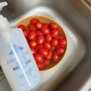 솔트글로벌 | 📢#세이프 남극솔트 주방세제 사용 후기, 설거지가 조금은 가벼워졌어요🫧💦🍽🫗 #세이프주방세제 #코스트코...