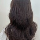 천안동양펫타운 | 천안미용실, 스타일의 새로운 정의를 만나다! 감각적인 변신 스토리