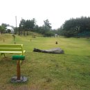 행복조류사 이미지