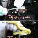 로또랑붕어빵 이미지