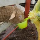 지우목장 이미지