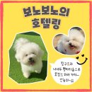 펫타리움 청담점 이미지