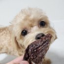 똘이엄마수제간식 이미지