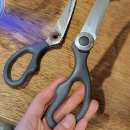 틱톡PC방 | 귤에 붙어있는 하얀 게 귤락이면 자몽에 붙은 건 자몽락인가요?