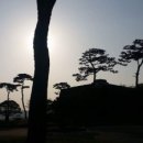 생명의 그물 2 이미지