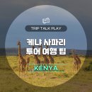 월드트레블포유 | 케냐 사파리 투어 마사이 마라 국립공원 기초정보 여행 팁