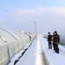 이천소방서 이미지