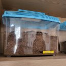 야동경로상 | MZcat