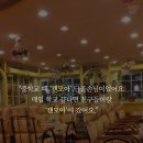 캔모아 Daum카페