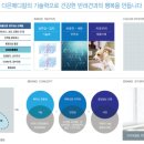 다은개발