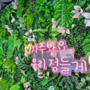 수지펜션 이미지