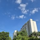 스위트멍 | 평창반려견동반숙소 한화리조트 평창 스위트 멍패커 객실, 운동장 이용 후기