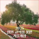 가을평