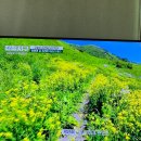 티케브