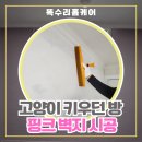 송정 | 부산 송정 도배 후기, 고양이 키우던 방 핑크 벽지 시공