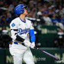 싹슬이
