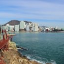 암남공원 이미지