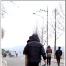 2월 15일 정모 전 봉무공원 번개 사진 ^^ 이미지