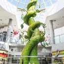 제주 유리의 성 이미지