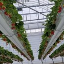 내산농장 이미지