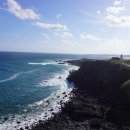 애월캐터리 이미지