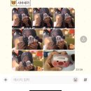 미라클푸드 장안점 | 올말졸말 뚈망뚈말