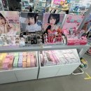 애플동물약국 | 다이소 건대스타시티점 오픈! 지하 대형 매장 방문 후기｜구성, 볼거리, 추천템 정리