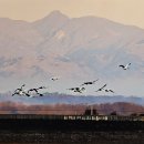 솜리문화예술회관 이미지