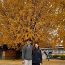 (주)브이케이티 | 올해 가을은 지난해보다 조금 더 길고 풍성하네 ,