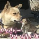 랑해