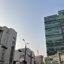 순백피부과
