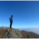 신(다라골) 이미지