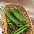 화평동왕냉면돼지갈비 이미지