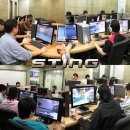 스팅하우스
