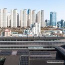 서림삼일