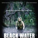 블랙 워터 (Black Water, 2008) 오스트레일리아 | 스릴러, 어드벤처/감독 데이빗 너리치, 앤드류 트라우키/출연 다이애나 글렌, 메이브 더모디, 이미지