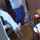 고양이민박 이미지