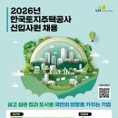 262 더팩트