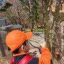 산들공원(물놀이장) 화장실 | 분당 중앙공원 숲체험 후기, 6세 아이 산들생태학교 산들운동회